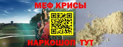 крисы Можга