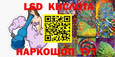 крисы Можга