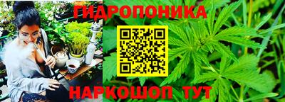трава Моздок