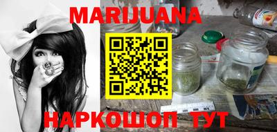 крисы Можга