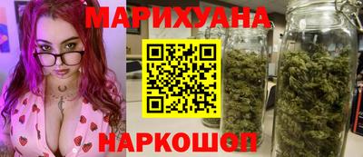 крисы Можга