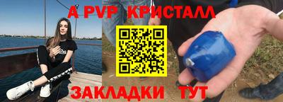 крисы Можга