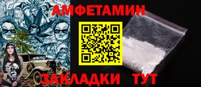 крисы Можга