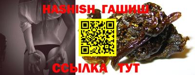 крисы Можга